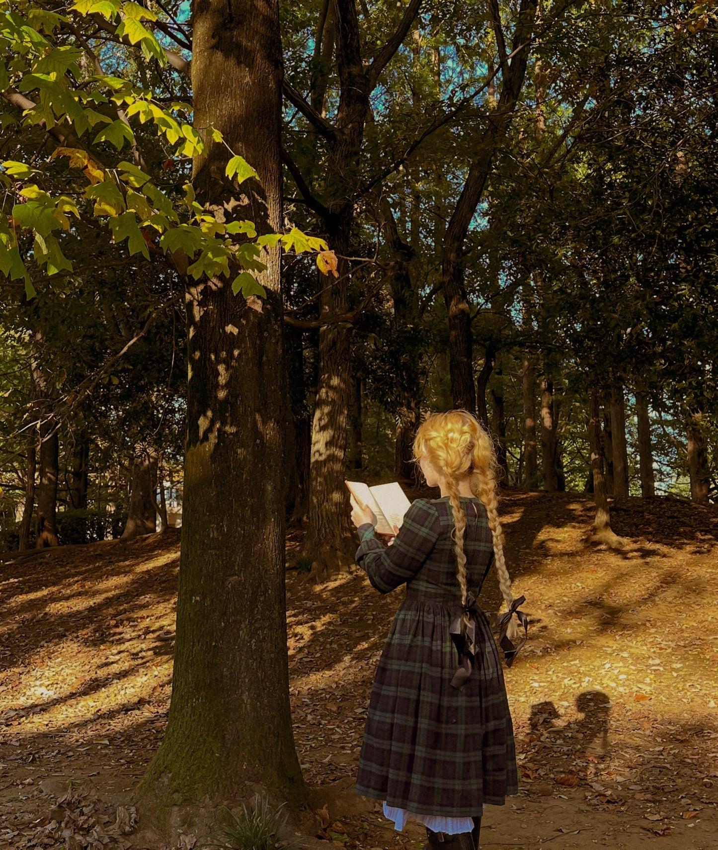 MTO - Agnes Dress "You Plaid me at Hello"