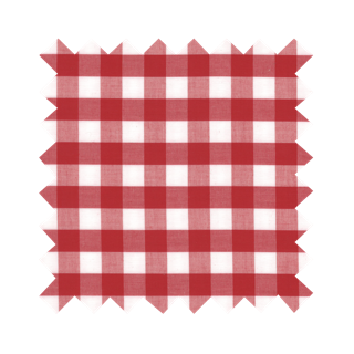 RTS - S - Frankie Shorts Red Gingham - Large Checks